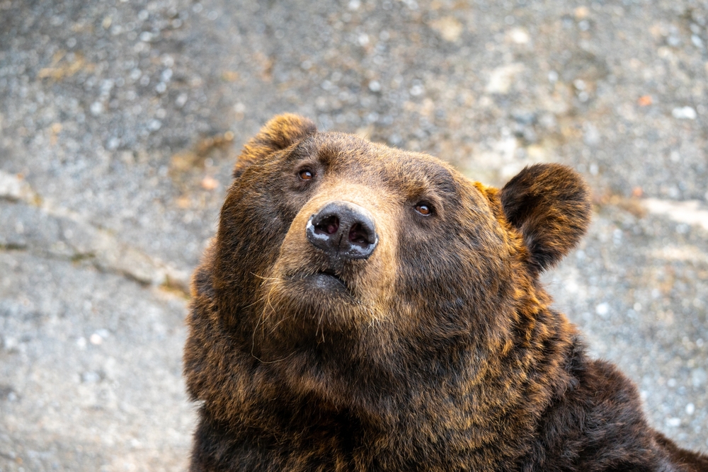 Fotka 1894 | Zoja.sk